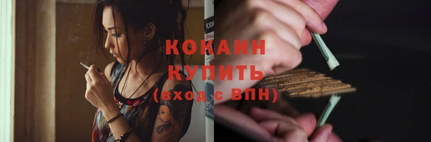 стаф Вяземский