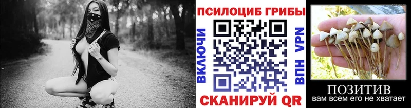 Псилоцибиновые грибы мицелий  как найти   Евпатория 